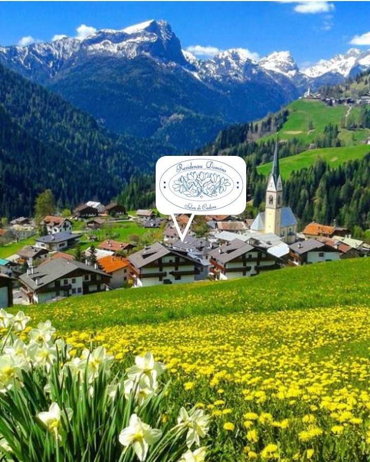 Residenza Domino Aparthotel Selva di Cadore Bagian luar foto